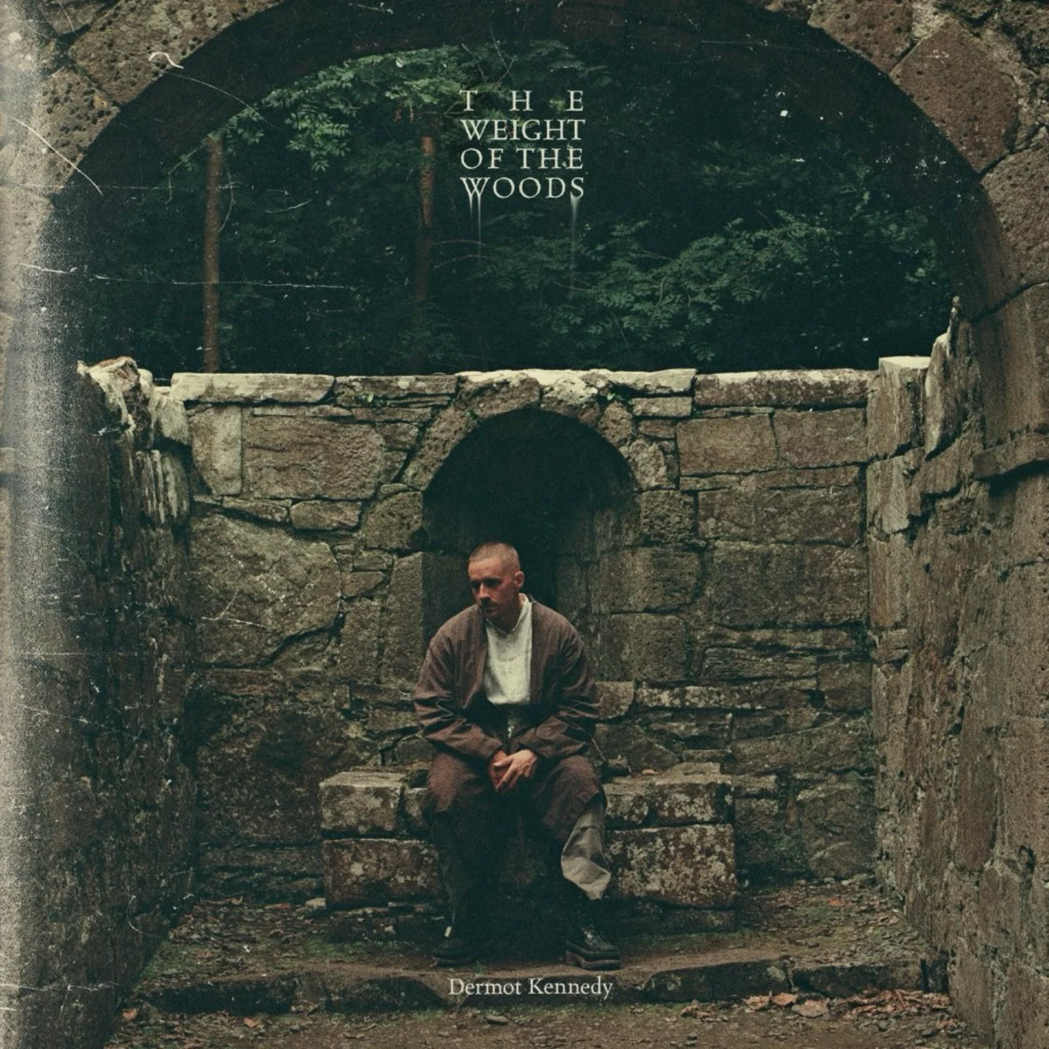 Dermot Kennedy - The Weight of the Woods, indies transparent green 2xLp vinyl - Image 3