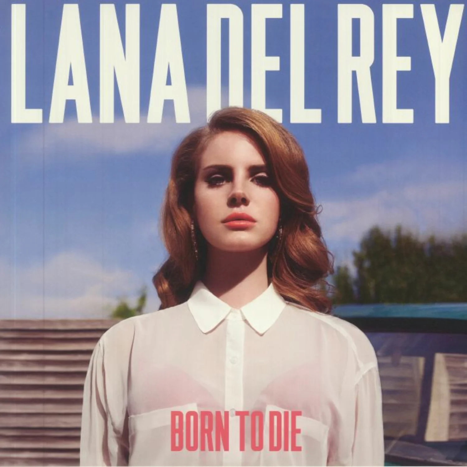 Lana Del Rey - Born To Die, 2xlp Gatefold Vinyl